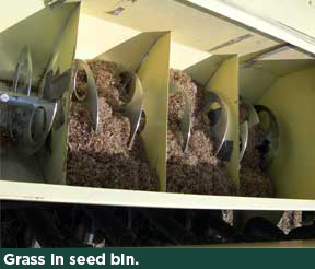 Grass in seed bin.